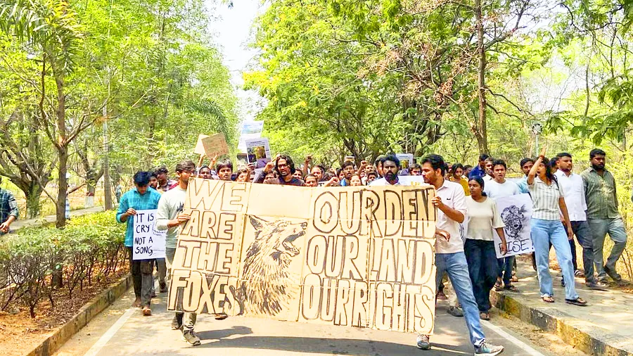 Tree felling suspended in Kancha Gachibowli