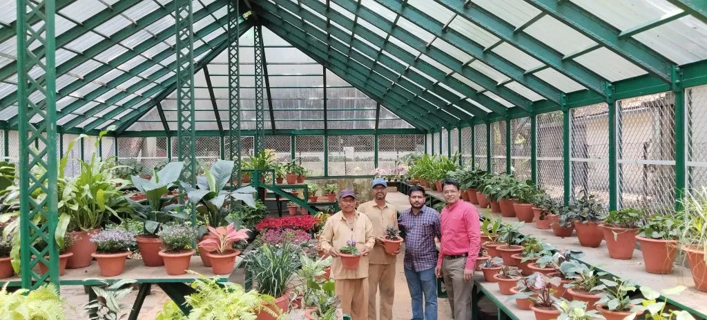 Green shoots sprout in the 'Glass House'!