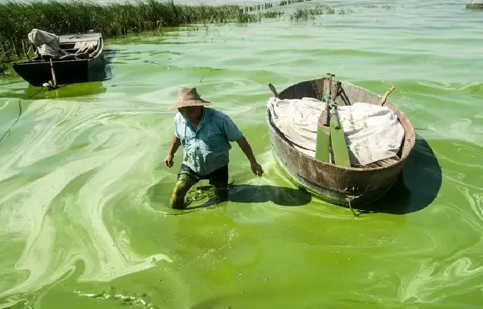 Nitrogen pollution in the Indian Ocean has doubled since 1980