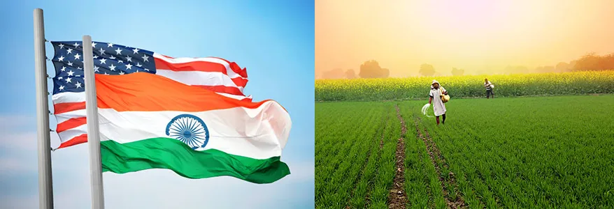 Impact of American tariffs on Indian agriculture