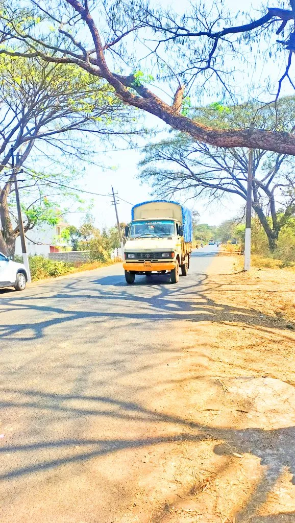 Demand for immediate removal of tree branches obstructing the Uchgaon-Bachi road