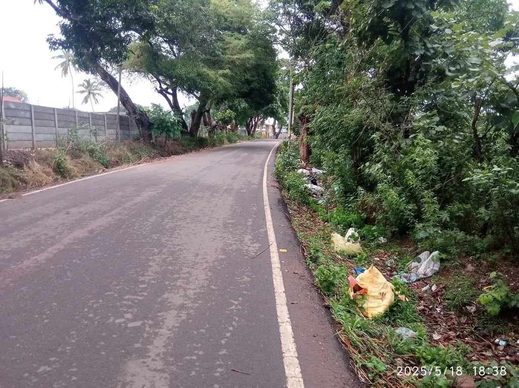 नंदगड रस्त्यावरील गटारीशेजारी कचऱ्याचे ढीग Heaps of garbage next to the drain on Nandgad Road