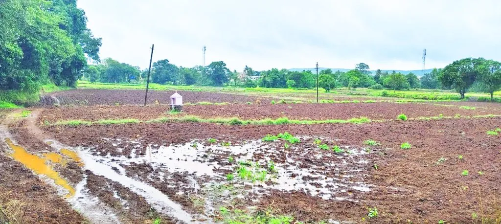 Picture showing the onset of monsoon in the taluka