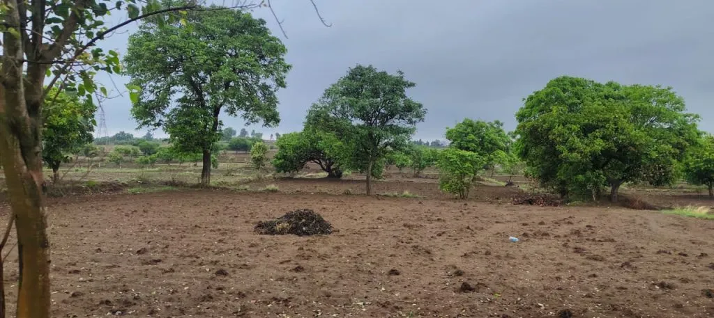मान्सूनपूर्व पावसामुळे मशागतीची कामे ठप्प Tillage work halted due to pre-monsoon rains