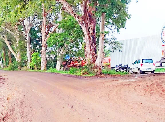 हलगाजवळील संपर्क रस्त्यावर चिखलामुळे वाहने घसरून पडण्याच्या प्रमाणात वाढ Increase in vehicle skidding due to mud on the connection road near Halga