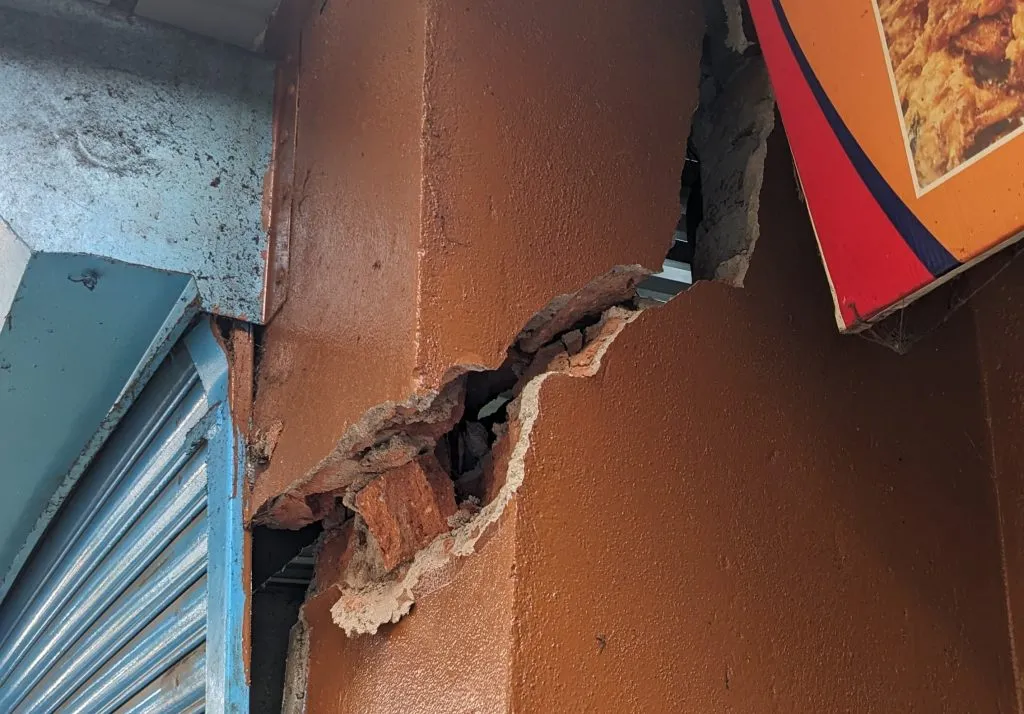 Demand to remove dangerous trees in Nargundkar Bhave Chowk