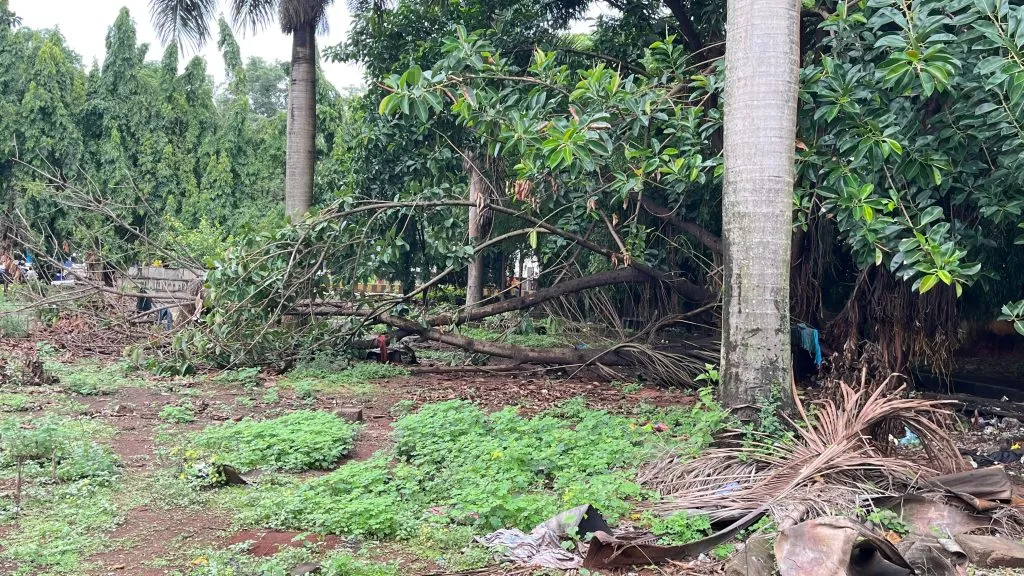 Away from the garden development at Gogate Circle