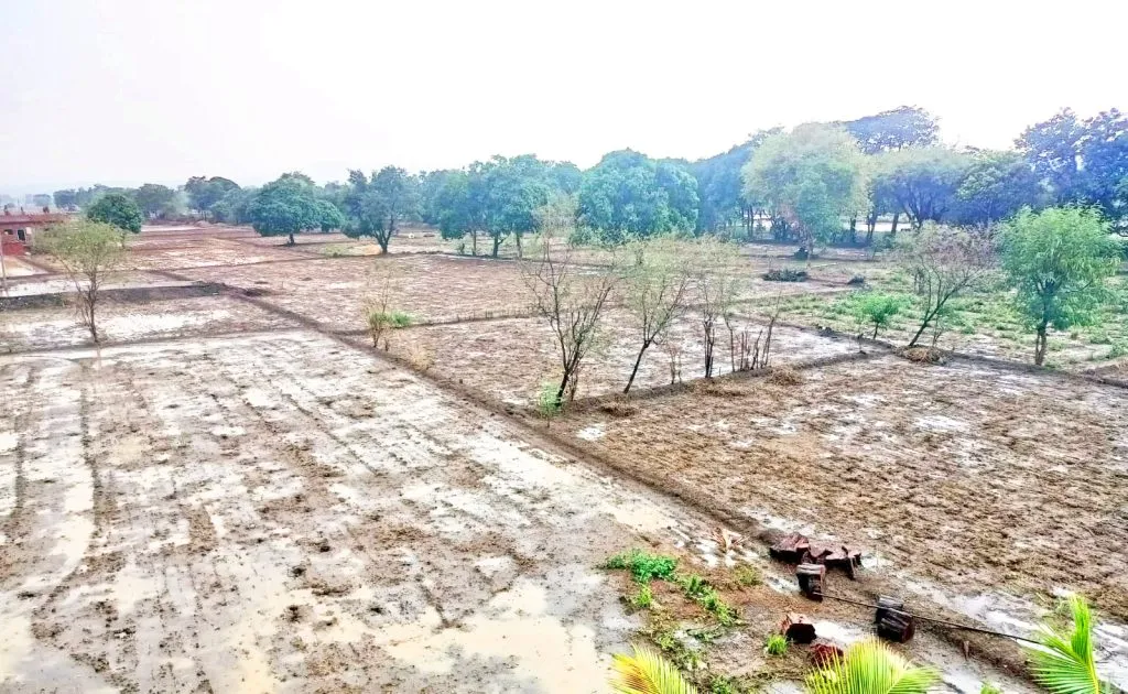 येळ्ळुरात पाऊस : सर्वत्र पाणीच पाणी Rain in Yellur: Water everywhere