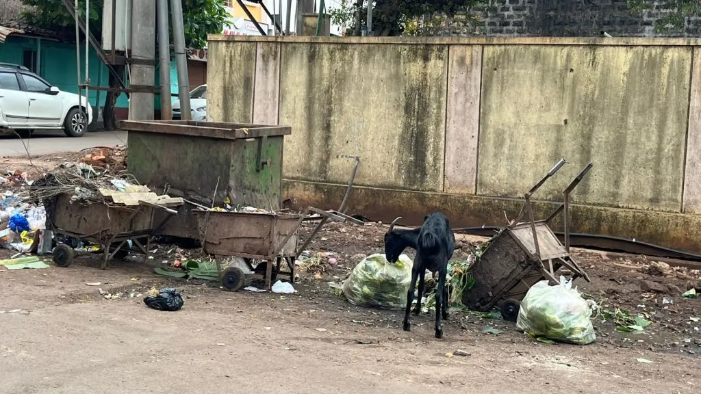 शेट्टी गल्ली कॉर्नरवर कचरा समस्या Garbage problem at Shetty Gali Corner