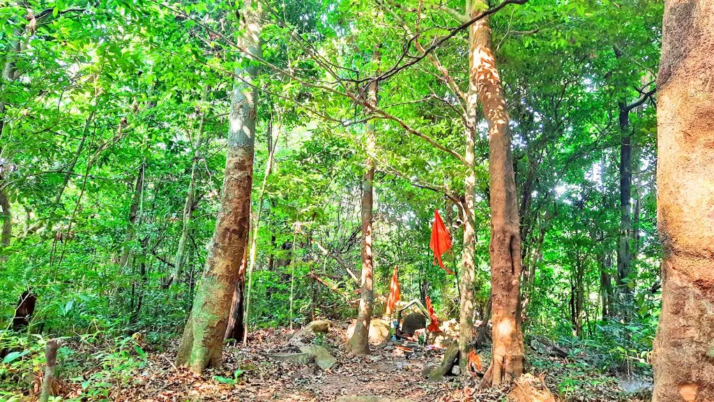 Ecological importance of Deoraiya