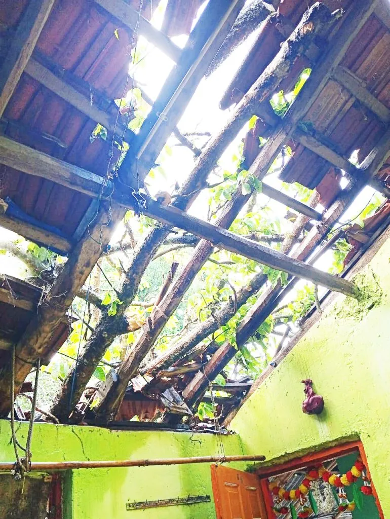 Strong batting, stay for another four days