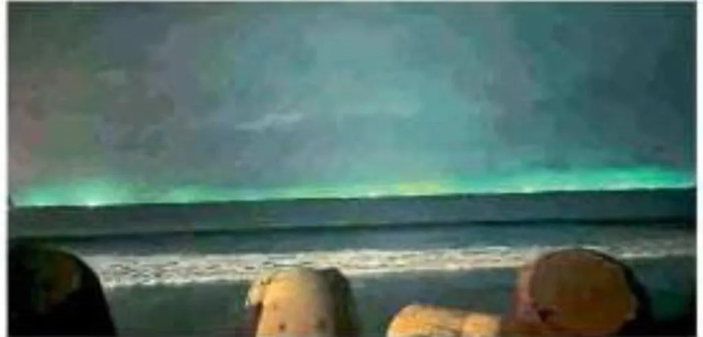 How do LED boats breach the 'coastal security shield'?