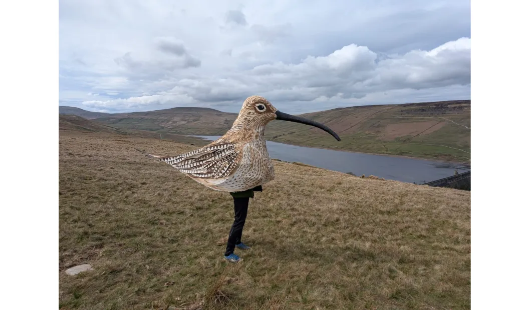 85 KM Pipet in the guise of a bird
