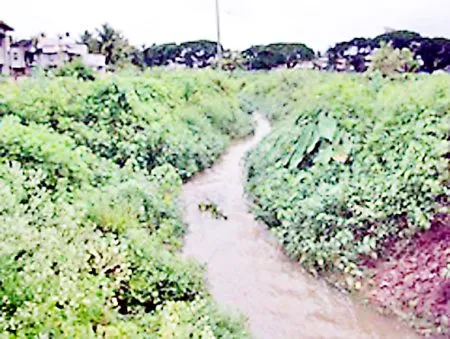 बळ्ळारीनाला-शेत जमिनीतील बेकायदा प्रकाराकडे दुर्लक्ष Ballarinala-Ignoring illegal activities in agricultural land