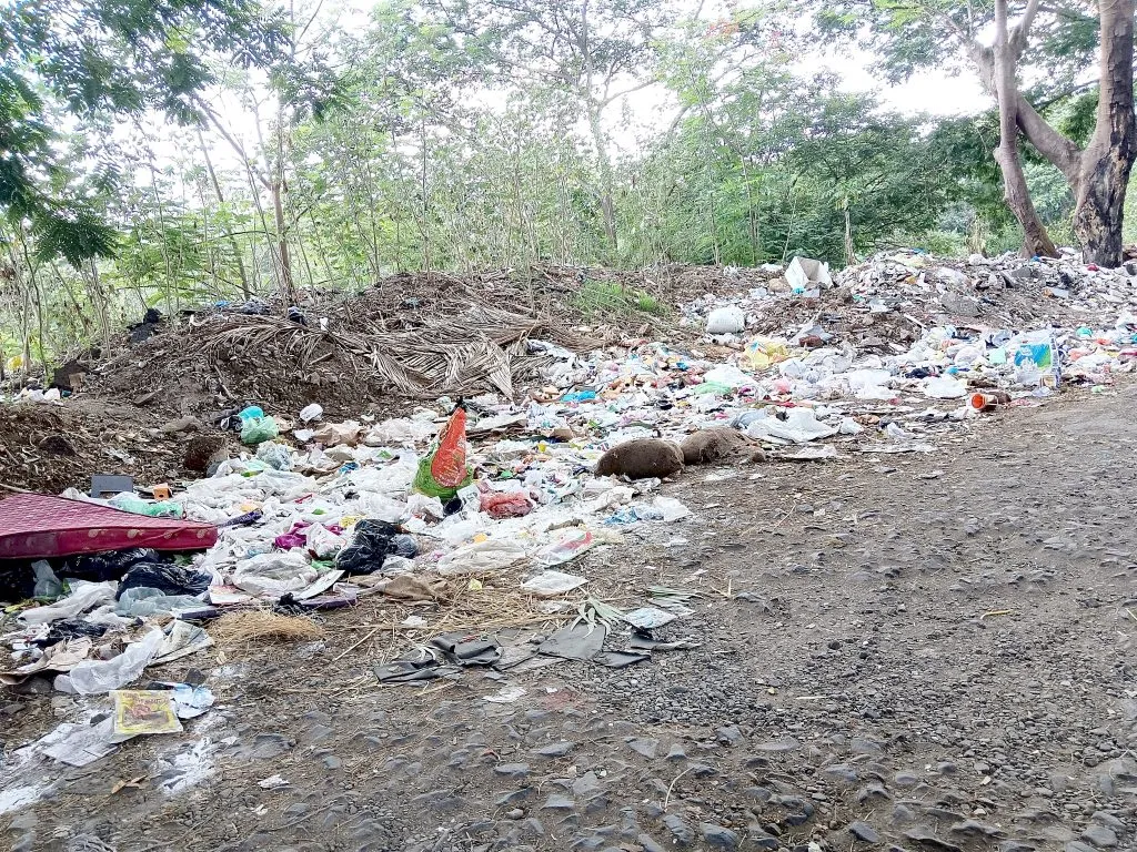 "Cleanliness in the city is in shambles