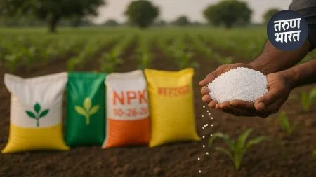 purchase of fertilizers has been stopped in state from 1 May 2025