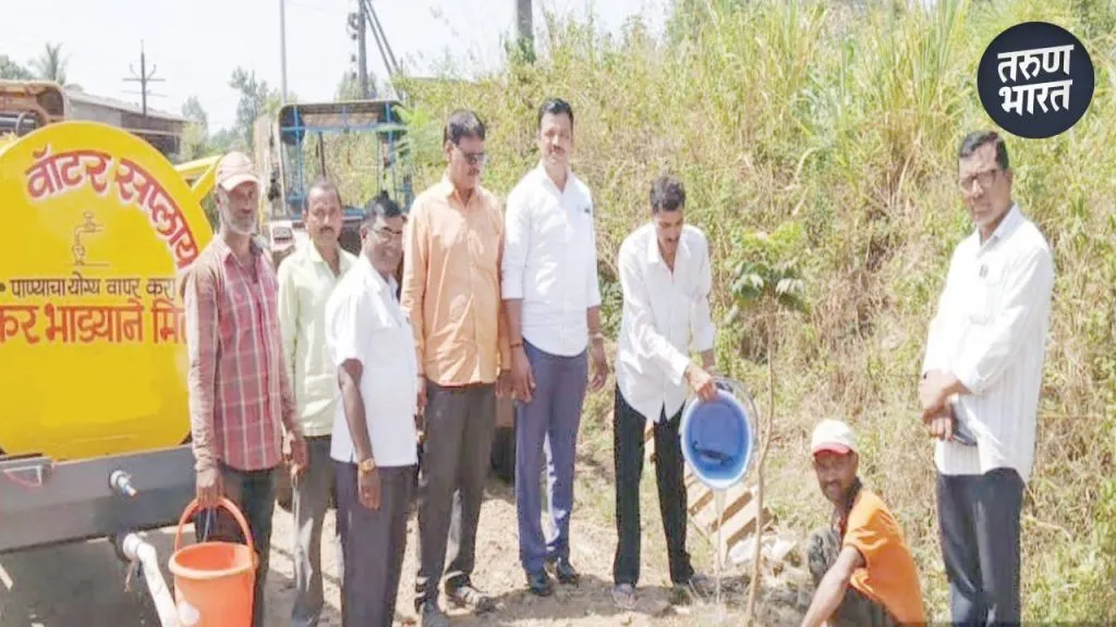 village every year before the monsoon saplings tree Plantation