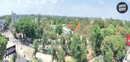 remaining 6 lakh trees completed in the next two to three months