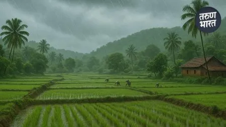 MH Weather Update: राज्यात कुठे मुसळधार तर कुठे हलका पाऊस, ‘या’ जिल्ह्यांना येलो अलर्ट