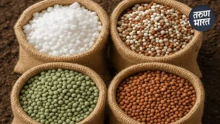 Fertilizer News : खोट्या सह्या, फोटोचा वापर; बनावट खरेदी खतप्रकरणी 6 जणांवर गुन्हा दाखल suspect forged signatures purchase deed police action on 6 people