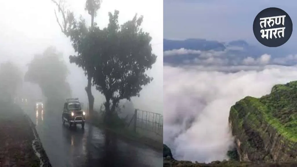 Satara Rain Update : साताऱ्यात धुवांधार, महाबळेश्वर तालुक्यात सर्वाधिक 346.1 मिमी पावसाची नोंद highest rainfall in Satara district in Mahabaleshwar 346.1 mm rain