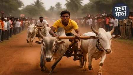 bullock cart race Clashes pulachi shiroli kolhapur 4 people arrested