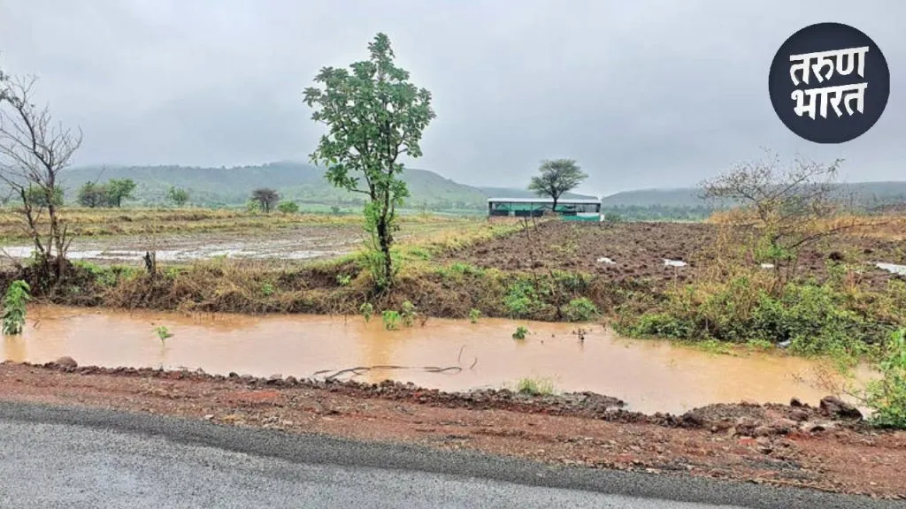 Sangli Rain Update : सांगलीत पावसाची संततधार सुरुच, 24 तासांत 11 मिमी पावसाची नोंद sangli district recorded an average rainfall of 11 mm in last 24 hours