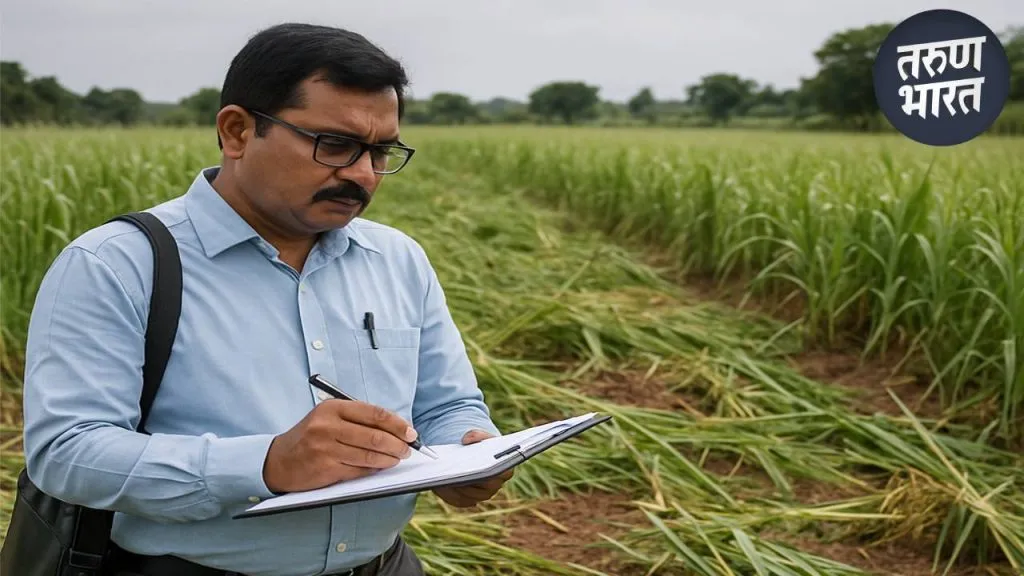Satara Crop Damage Survey: पावसाचा जोर मंदावला, आता नुकसानीच्या पंचनाम्यांना वेग rains battered both the drought-prone and the heavy rainfall areas