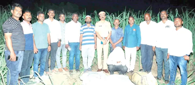 कुटकोळीत साडेतीन लाखांचा गांजा जप्त Marijuana worth ₹3.5 lakh seized in Kutkoli