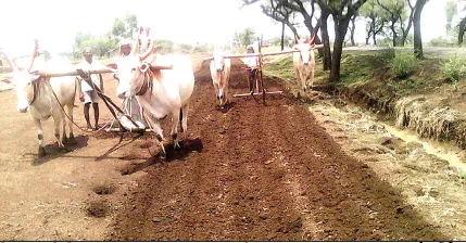 रोहिणीच्या उंबरठ्यावर खरीप तयारी Kharif preparations begin on the threshold of Rohini