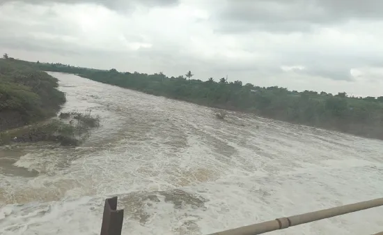 पन्नास वर्षांनी आला येरळेला पूर Flood hits Yerala after fifty years