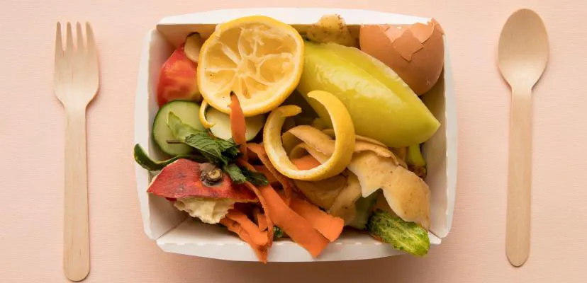 Organic waste will be converted into nutrients
