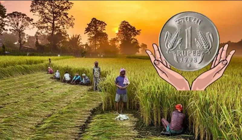 Crop insurance is up in the air, Baliraja is on the run!