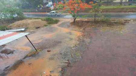 दोडामार्ग तालुक्याला अवकाळीने झोडपले