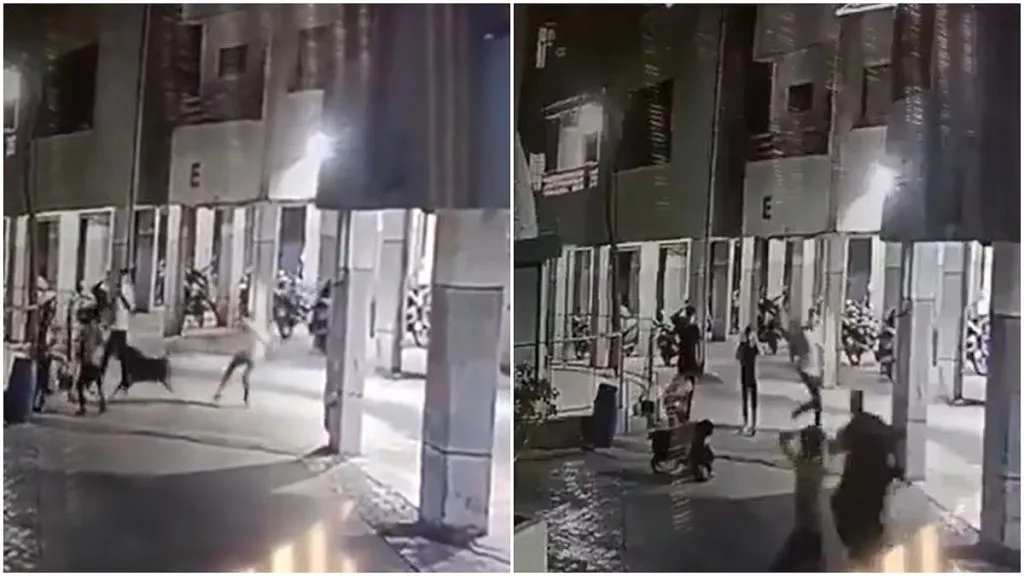 4-month-old girl dies in dog attack