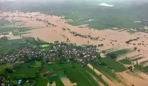 The floods in western Kolhapur are proving to be... a death knell for farmers