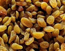 चालू वर्षाच्या बेदाणा हंगामात १७ हजार गाडी आवक 17,000 vehicle arrivals during the current raisin season