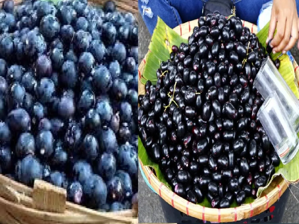 Cries of 'Buy jamun, buy karvanda!' echo in the air