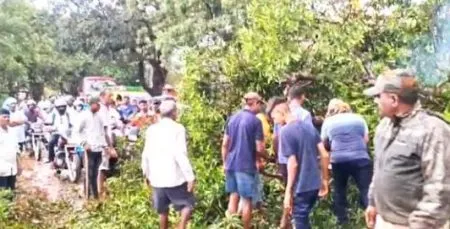 नंदगड परिसराला वळिवाने झोडपले : शिवारात पाणीच पाणी Rains lashed the Nandgad area: Farm was flooded with water
