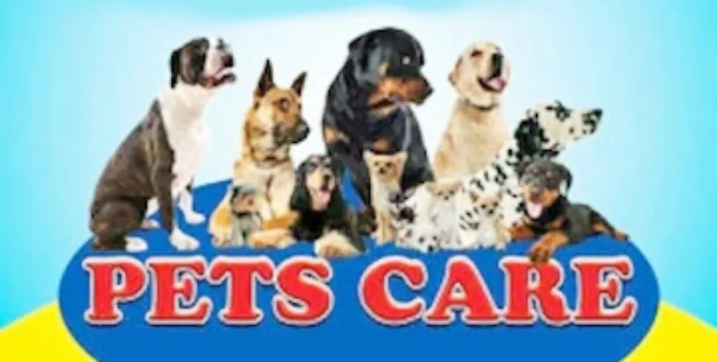 Increase in the number of illegal pet shops