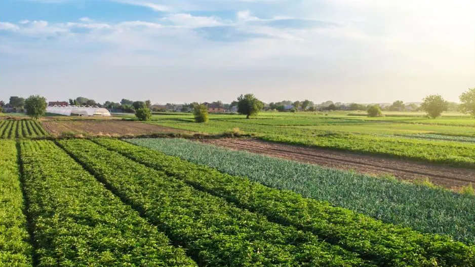 मातीची सुपीकता आणि रोग प्रतिकारशक्ती वाढवा Increase soil fertility and disease resistance