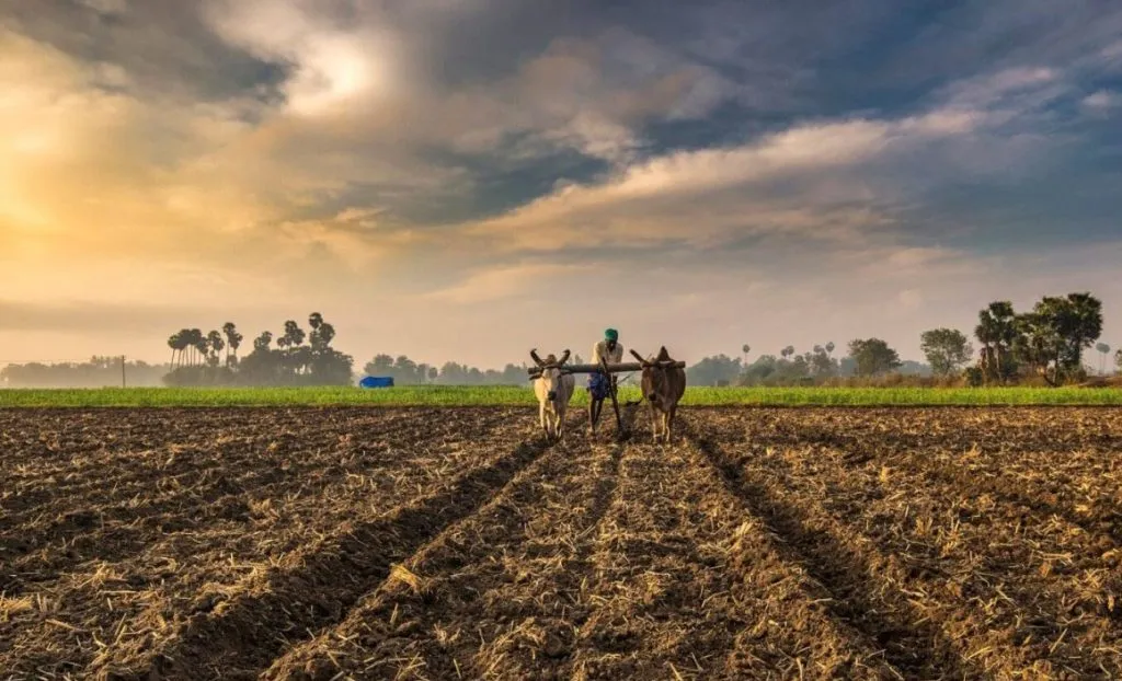 Drought El Nino and El Nina too: But the threat of agricultural migration