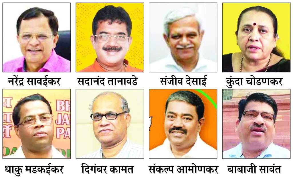 BJP's jumbo state executive
