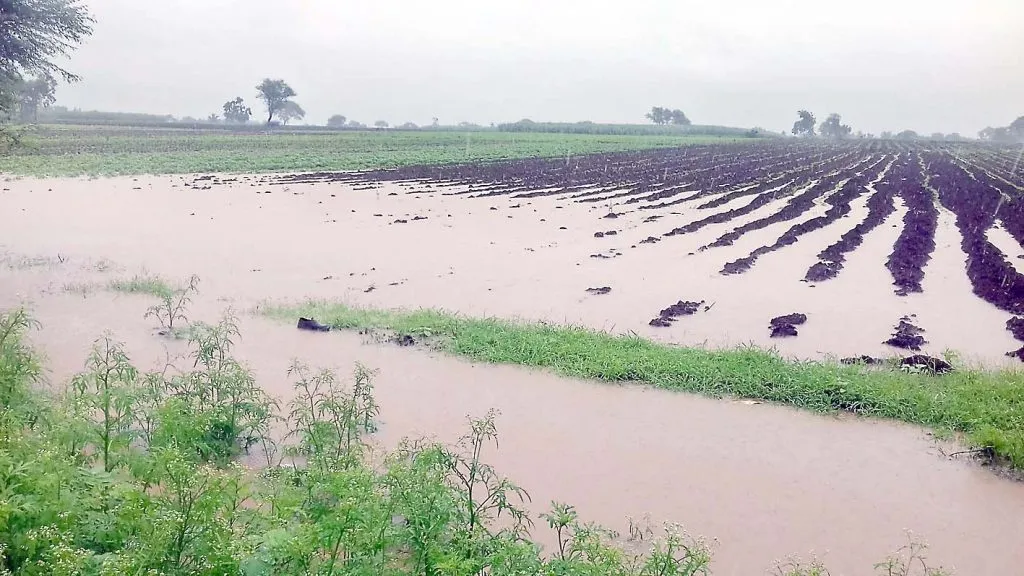 शेतकऱ्यांवर सोयाबीनच्या दुबार पेरणीचे संकट Farmers face the problem of double sowing of soybeans