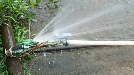 Drip drip rainwater leaks from the municipal building