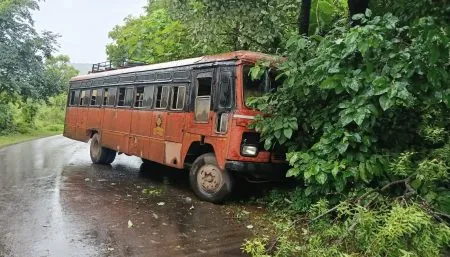 30 passengers injured as bus crashes into tree