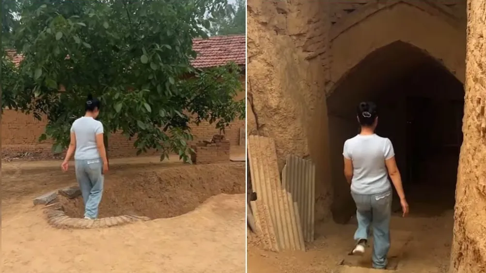 What's hidden in this basement...