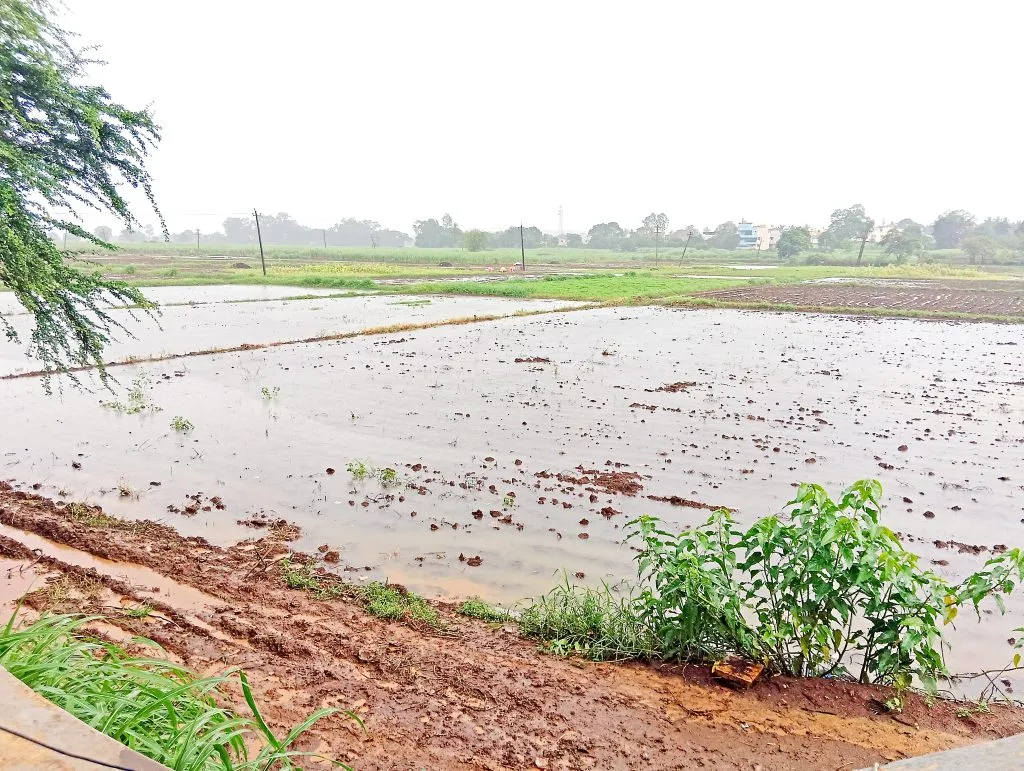 All crops in Hindlaga area destroyed due to heavy rains