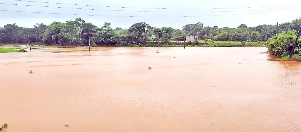 There is water everywhere due to rain in the taluka.