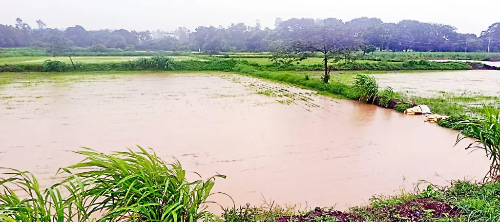 The intensity of rain increased in the eastern part of the taluka.